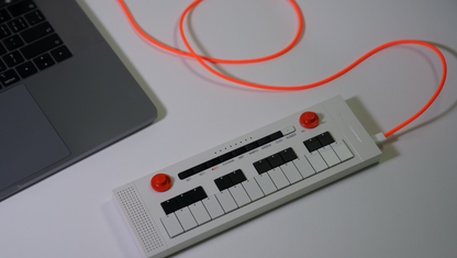 wunderkammer USB-C Cable